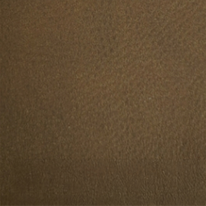 RAW 9502 CASTANO